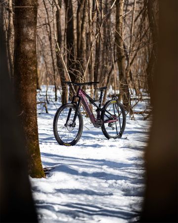 Used Orbea RISE H30 2024 2024 Mountainbike, Purple, 29 — image 3 of 4