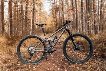 Used Sour Bicycles Pasta Party 2022 Mountainbike, Hellgrau — image 1 of 10