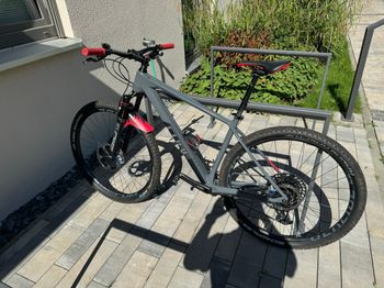 Used CUBE REACTION C:62 SL 2021 Mountainbike, Light Gray — image 2 of 6