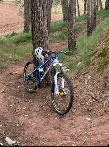 Used Mondraker Dune XR 2015 MTB
