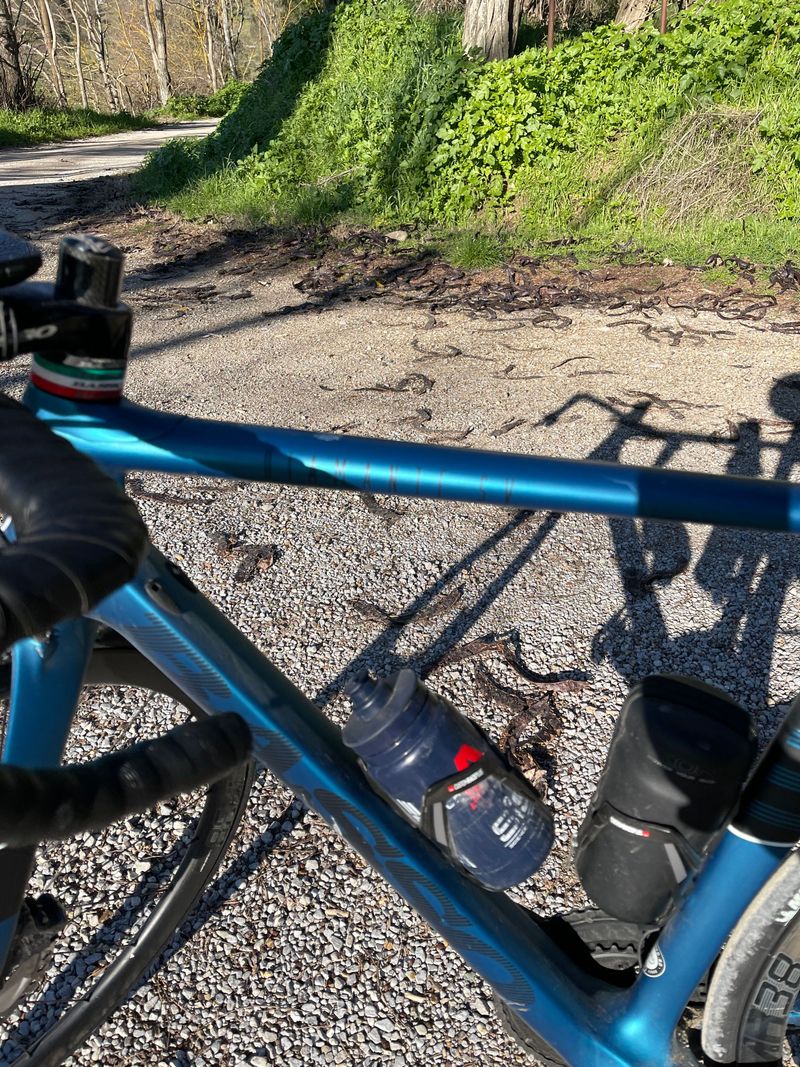 Used Basso Diamnte SV 2020 Road & Gravel, Blue — image 2 of 10