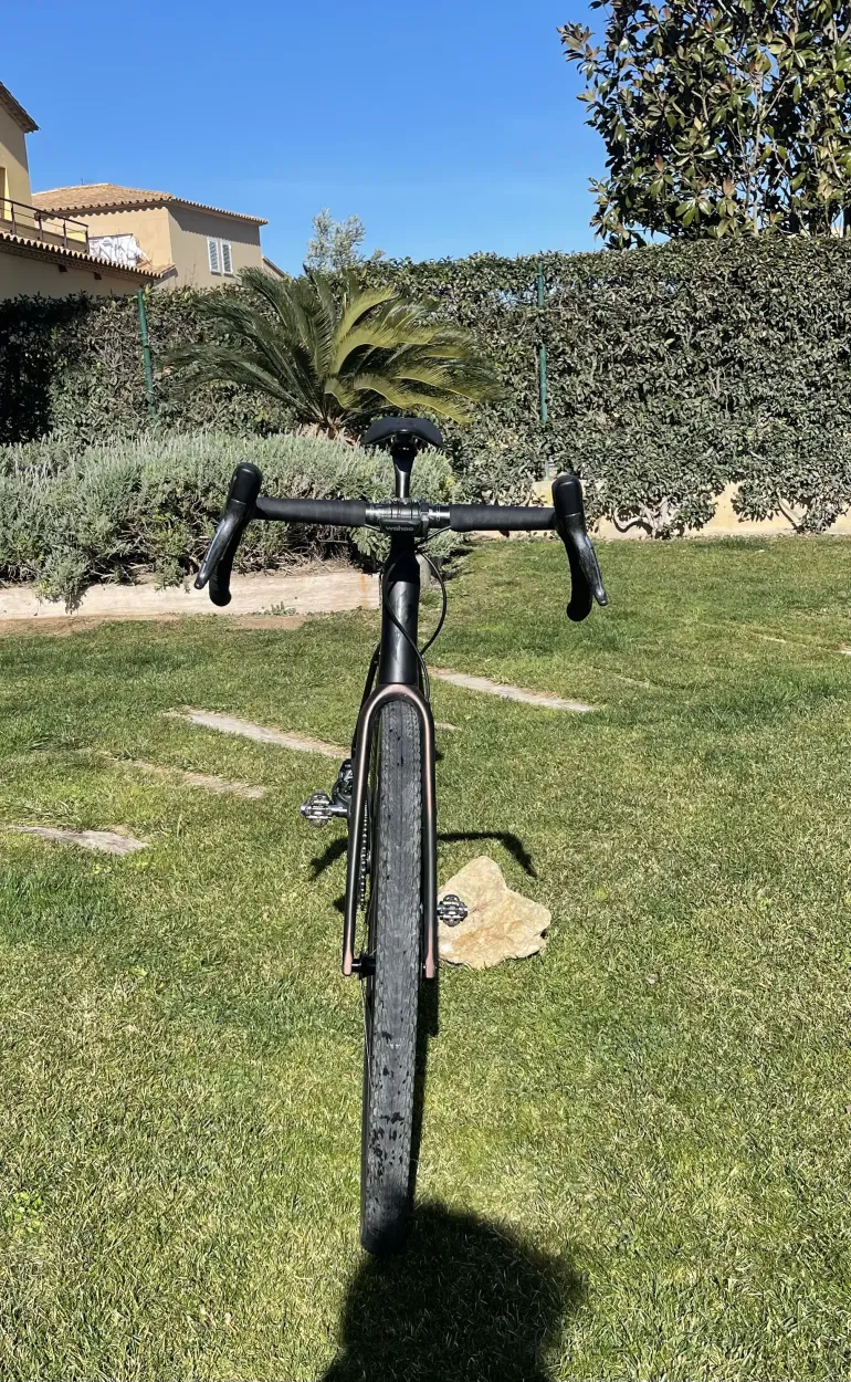 2020 s works diverge