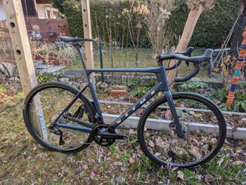 Used Vitus Vitesse EVO Ultegra Di2 2023 2023 Road & Gravel, Blue — image 1 of 16
