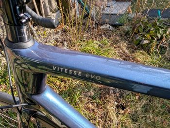 Used Vitus Vitesse EVO Ultegra Di2 2023 2023 Road & Gravel, Blue — image 13 of 16
