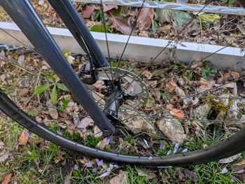 Used Vitus Vitesse EVO Ultegra Di2 2023 2023 Road & Gravel, Blue — image 5 of 16