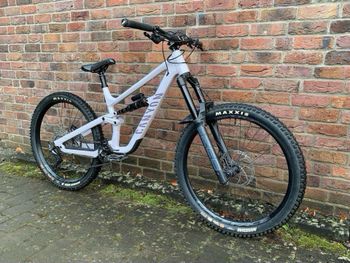 Used Canyon Torque Park AL 6 2024 2024 Mountainbike, White, 27.5 — image 2 of 15