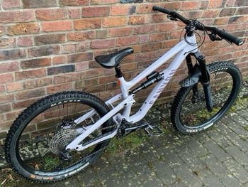 Used Canyon Torque Park AL 6 2024 2024 Mountainbike, White, 27.5 — image 4 of 15