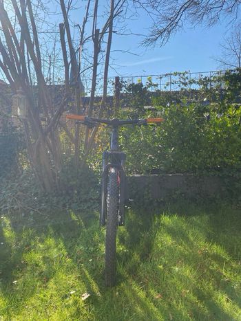 Used CUBE REACTION PRO 2024 2024 Mountainbike, Light Gray, 27.5 — image 2 of 3