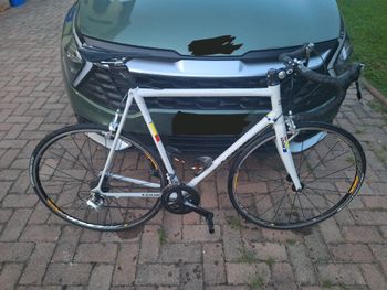 Brugt Look AL 464 P 2024 2024 Road & Gravel — billede 7 af 18