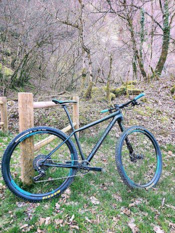 Gebrauchtes Cannondale F-Si Carbon Team 2017 2017 Mountainbike, Blau, 27.5 — Bild 3 von 9