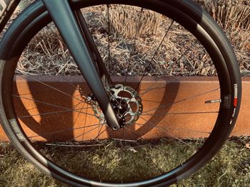 Used Specialized Roubaix Sport 2023 2023 Road & Gravel, Black — image 7 of 8