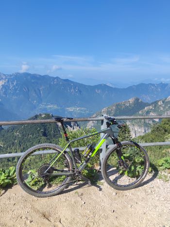 Used CUBE REACTION C:62 Race Eagle 2019 2019 MTB
