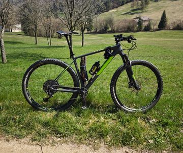 Used CUBE REACTION C:62 Race Eagle 2019 2019 Mountainbike, Light Gray, 29 — image 3 of 3
