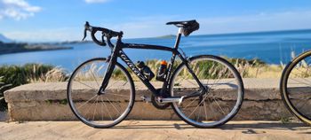 Wilier, cento1 2010
