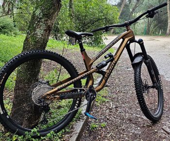 Used Radon SWOOP 10.0 2022 2022 MTB