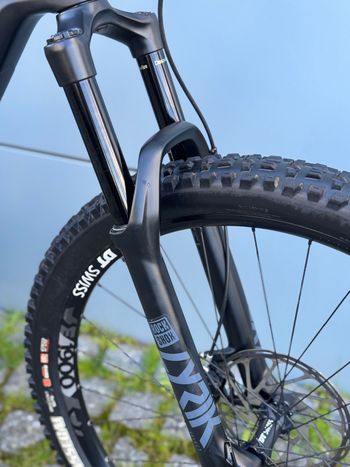 Used Canyon Strive CF 7.0 2020 2020 Mountainbike, Black, 29 — image 5 of 9