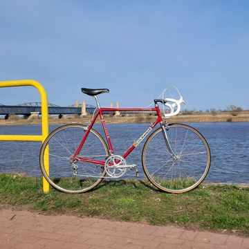 Colnago bike world champion / bici campione del mondo 1986 Road & Gravel usato