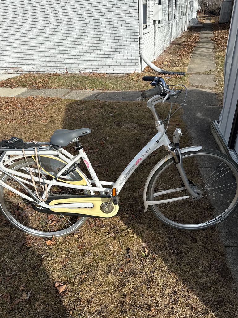 Used Batavus Mambo 2017 Road & Gravel — image 1 of 6