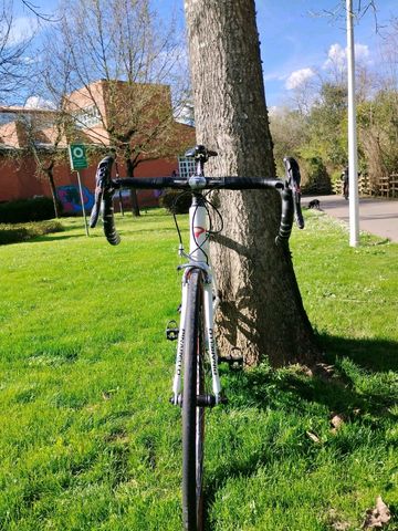 Używany Pinarello Paris 2008 Road & Gravel — zdjęcie 4 z 9