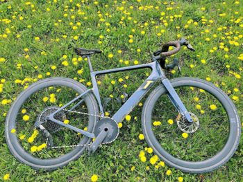 Used 3T ULTRA FORCE D1/EAGLE AXS 1X12 650b 2024 2024 Road & Gravel
