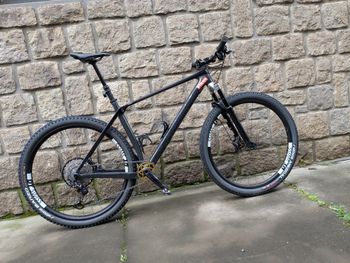 Trek, Trek Procaliber