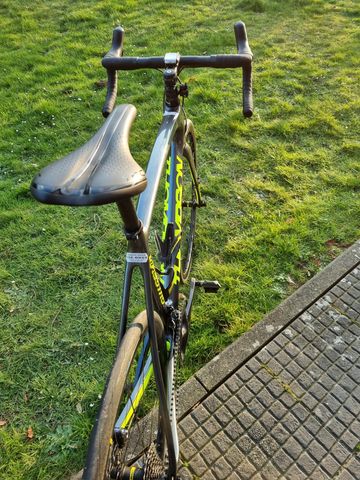 Used Thompson Maestro Team 2019 Road & Gravel, Light Gray — image 3 of 4