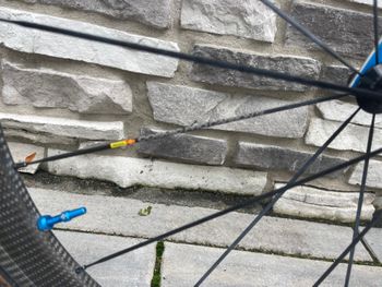 Used Trek Madone 9.5 2017 2017 Road & Gravel, Light Gray — image 13 of 13