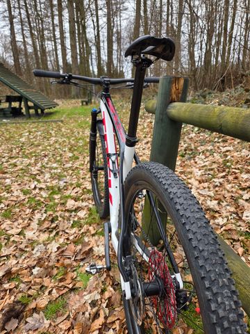 Used Trek Procaliber 9.8 2021 2021 Mountainbike, White, 29 — image 6 of 10