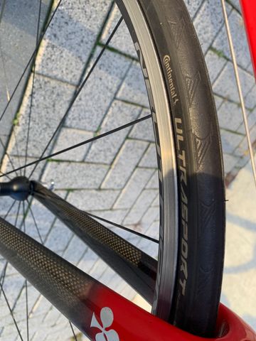Used Colnago CF1 ferrari 2002 Road & Gravel, Red — image 12 of 12