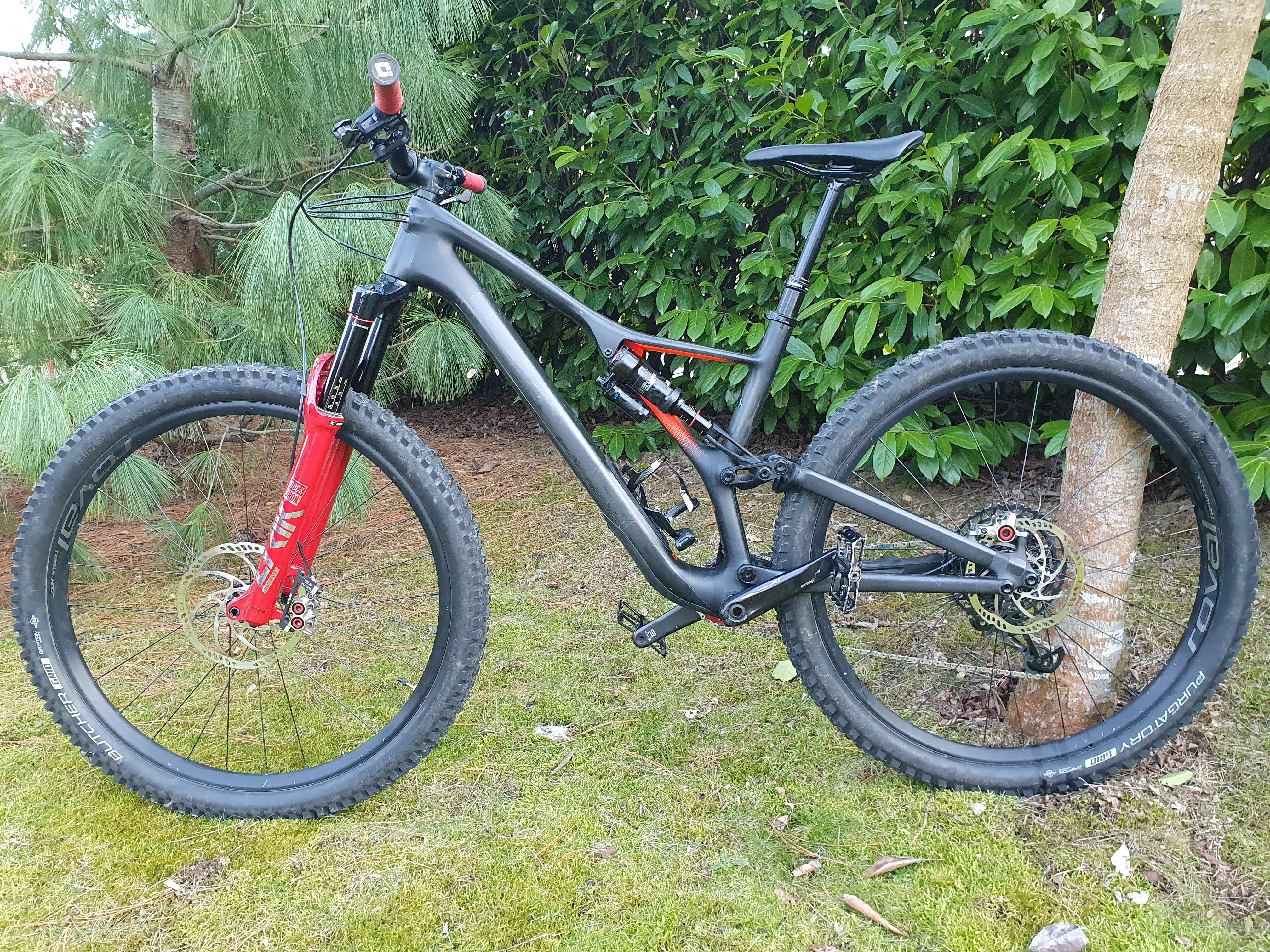 Stumpjumper discount 2019 carbon