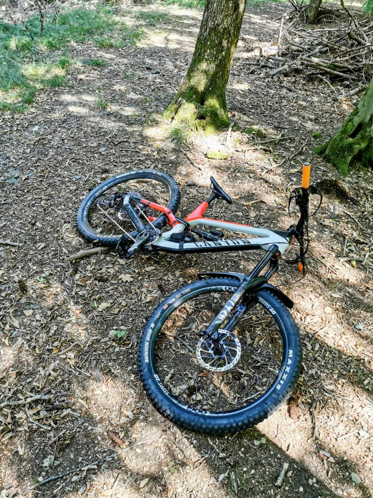 Used Canyon Torque CF 7.0 2020 Mountainbike, Rot — image 1 of 9