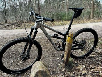 Used Canyon Spectral 29 AL 6 2022 2022 Mountainbike — image 3 of 4