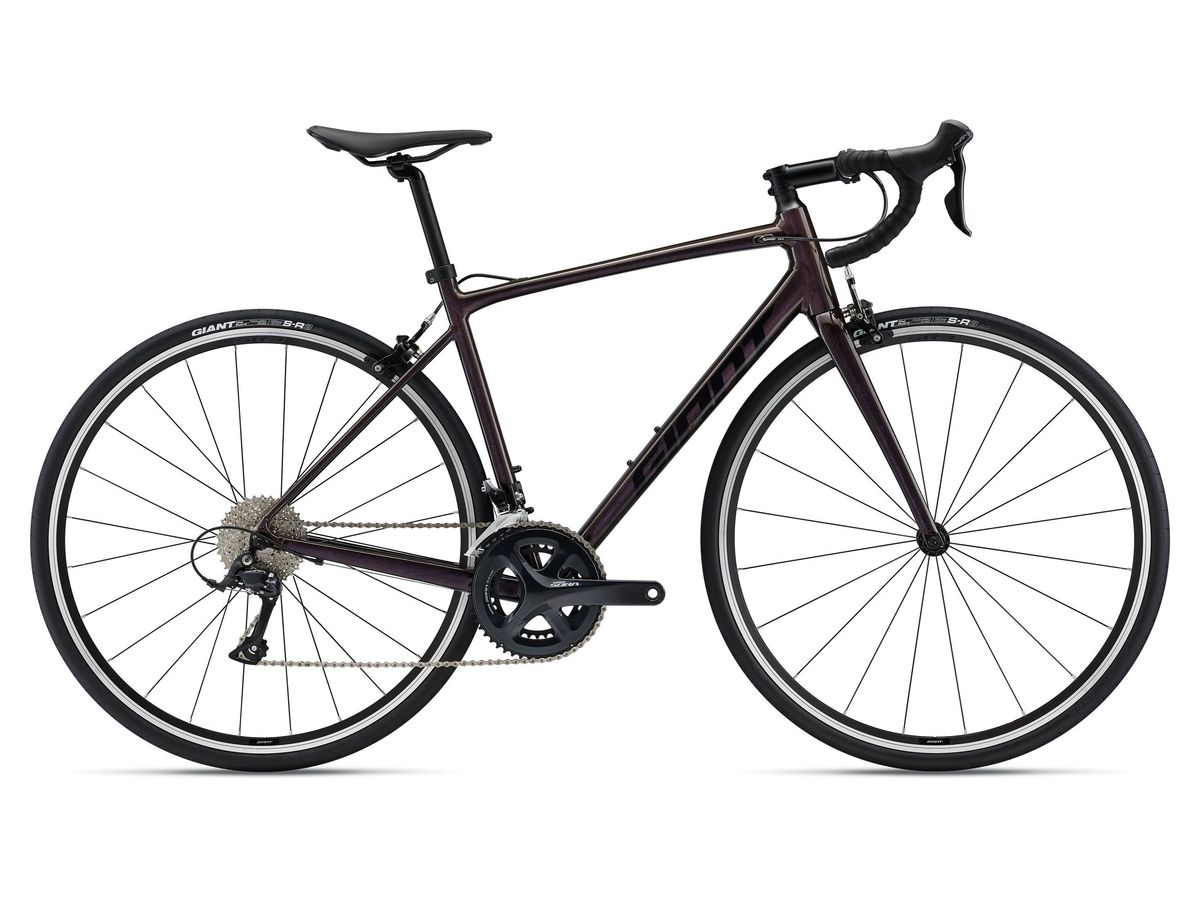 Giant Contend 1 2022 2022
