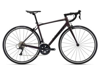 Giant, Contend 1 2022