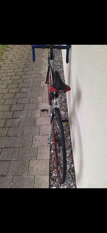 Used Specialized Allez Elite 2008 Road & Gravel, Black — image 8 of 11