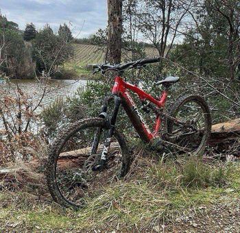 Used Rock Machine Blizzard Int-e 70 2024 Mountainbike, Red, 29 — image 4 of 12