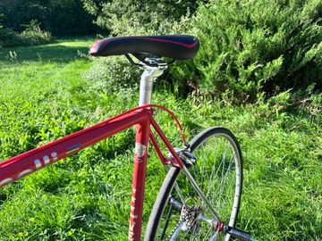 Brugt Cinelli Ellittica 1980 1980 Road & Gravel — billede 11 af 19