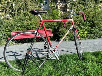 Used Cinelli Ellittica 1980 1980 Road & Gravel