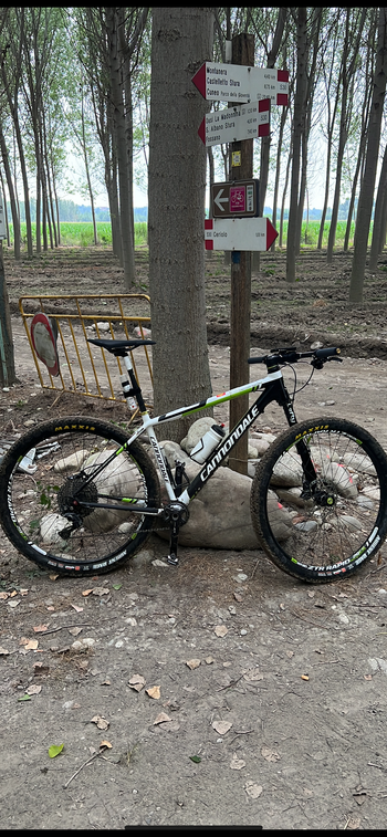 Used Cannondale Lefty F29 2013 Mountainbike — image 2 of 10