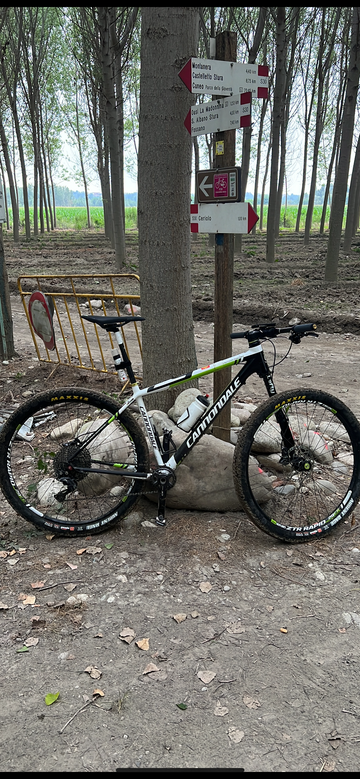 Tweedehands Cannondale Lefty F29 2013 Mountainbike — afbeelding 2 van 10
