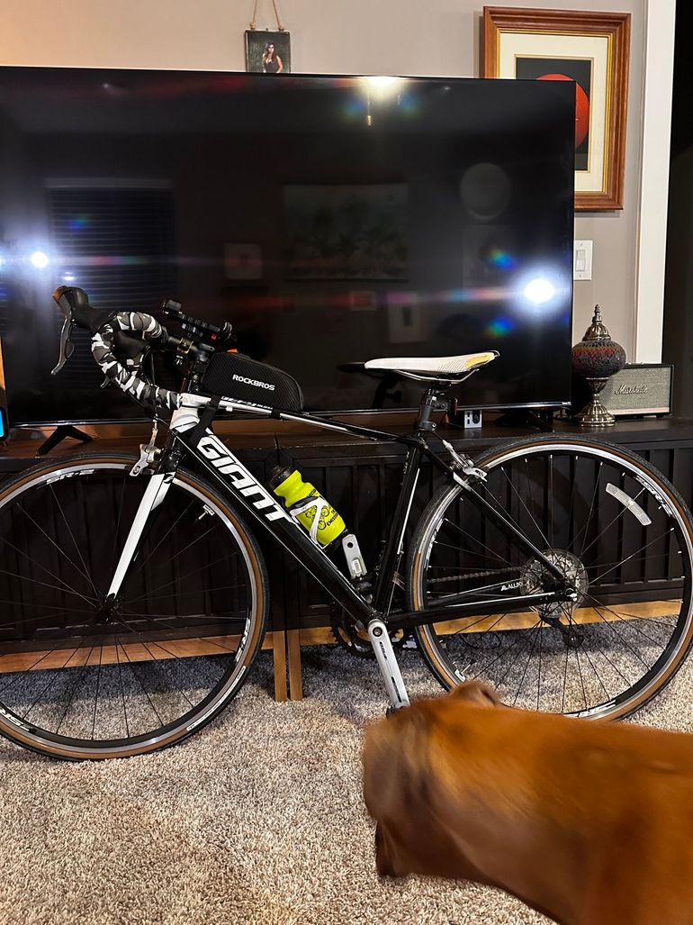 Used Giant Defy 2 Disc 2016 2016 Road & Gravel, White — image 16 of 16