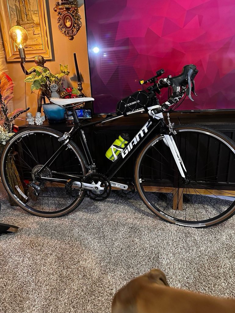 Used Giant Defy 2 Disc 2016 2016 Road & Gravel, White — image 1 of 16
