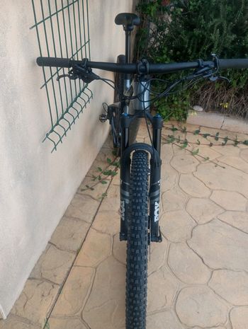Used Canyon Lux Trail CF 6 2024 2024 Mountainbike, Light Gray, 29 — image 2 of 5