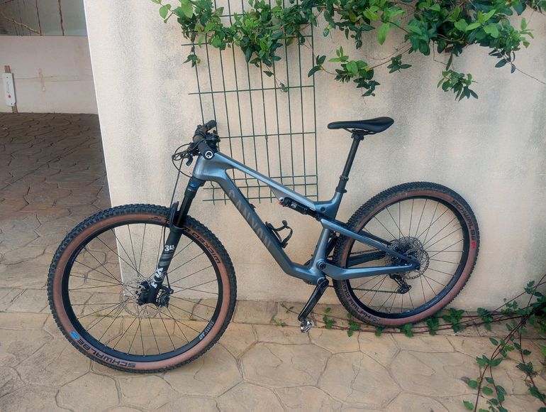 Used Canyon Lux Trail CF 6 2024 2024 Mountainbike, Light Gray, 29 — image 5 of 5