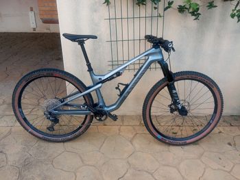 Used Canyon Lux Trail CF 6 2024 2024 Mountainbike, Light Gray, 29 — image 1 of 5