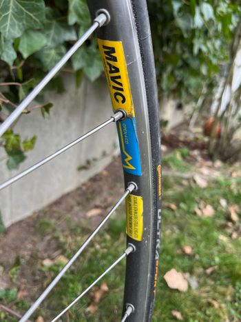 Used Koga Miyata Road & Gravel — image 5 of 7