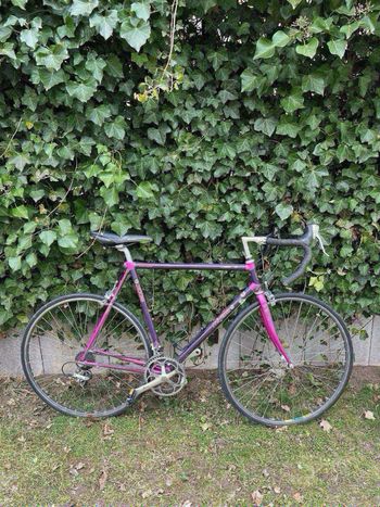Used Koga Miyata Road & Gravel — image 1 of 7