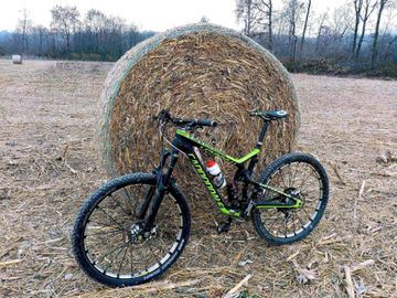 Used Cannondale Trigger Carbon 1 2017 2017 MTB