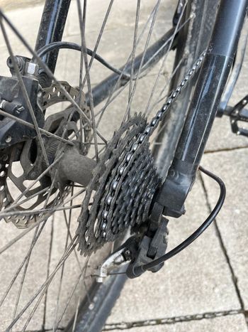 Used Radon ZR Team 7.0 29 2019 2019 Mountainbike, Blue — image 3 of 8