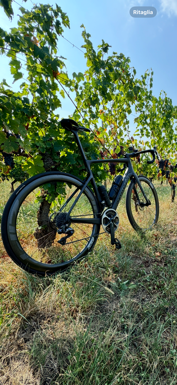 Cervélo, Caledonia-5 Ultegra Di2 2021